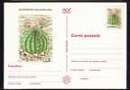 ROMANIA 1997 Entier Postaux Stationery POSTCARD,with Cactusses,cactus.(C) - Cactus