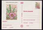 ROMANIA 1997 Entier Postaux Stationery POSTCARD,with Cactusses,cactus. - Cactussen