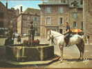 63 - BESSE-en-CHANDESSE - La Fontaine De La Place (Chevaux Et Cavaliers...)  CPSM - Besse Et Saint Anastaise