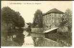 CPA  LIZY SUR OURCQ, Les Moulins Et La Mégisserie  1521 - Lizy Sur Ourcq