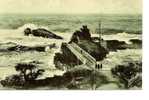 -64-  BIARRITZ - Rocher De La Vierge   En Vert - Excellent état Neuve - Biarritz