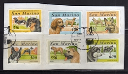 REPUBBLICA DI SAN MARINO 1994 ESPOSIZIONE CANINA CANI DOGS SERIE COMPLETA COMPLETE SET USATA USED OBLITERE' - Gebruikt