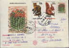 Romania-Postal Stationery Postcard 1997-Cactus-Mamillaria Rhodanta - Cactus