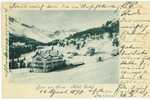 Schweiz/Suisse/Switzerland: Hotel Seehof, Gruss Aus Arosa 1899, 2 Scans - Arosa