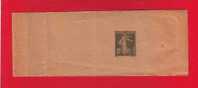 117 - Entier Postal Type Semeuse Fond Plein Inscription Maigre 2 C Vert Foncé N° 242 (Y&T 278-BJ1) - Streifbänder