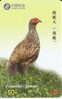 TARJETA DE CHINA DE UN FRANCOLIN (BIRD-PAJARO) - Galline & Gallinaceo