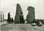 29 - Finistère -  Ile De Sein - Les Causeurs Menhirs -  C.P..M.  Réf, 11 - Ile De Sein