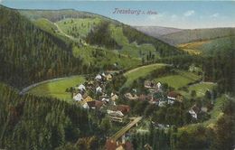 AK Thale Harz OT Treseburg Ortsansicht Color ~1910 #32 - Thale