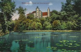 AK Glauchau Schloss Mit Hammerteich Color 1917 #05 - Glauchau