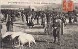 ( 21 ) ARNAY LE DUC   Un Coin Du Champ De Foire Les Cochons - Arnay Le Duc