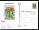 ROMANIA 1997 STP FDC Cancell. Cactusses,cactus.(F) - Sukkulenten