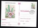 ROMANIA 1997 STP FDC Cancell. Cactusses,cactus. - Sukkulenten