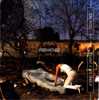 CD - Tori AMOS - Caught A Lite Sneeze (4.24) - Graveyard (0.54) - Toodles Mr. Jim (3.09 - Verzameluitgaven