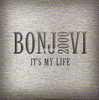 CD - BON JOVI - It's My Life (3.45) - PROMO - Verzameluitgaven