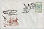 Romania-Envelope Occasionally 1993-Common Tern-Protected Aquatic Birds! - Meeuwen