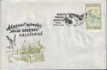 Romania-Envelope Occasionally 1993-Lapwing-Protected Aquatic Birds! - Seagulls