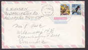 United States TAMPA Florida 1990 Cover Denmark Tuberculosis Lung Association Vignette Bird Vogel Oiseau Owl Eule (Pair) - 3c. 1961-... Lettres