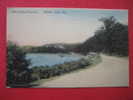 Green Lake WI  Hand Tinted Drive At Lone Tree Point  Circa 1910 - Altri & Non Classificati