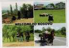 Cpm Welcome To KOSOVO Agriculture Attelage âne Moutons - Kosovo