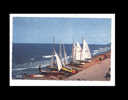 LES REGATTES - PP 1666 - Sailing