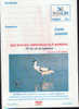 Romania-Postal Stationery Postcard 2000-Knock Back - Cigognes & échassiers