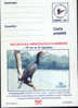 Romania-Postal Stationery Postcard 2000- Great Cormorant - Pélicans