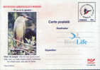 Romania-Postal Stationery Postcard 2000-Night  Heron;HÉRON DE NUIT;Nachtreiher - Cigognes & échassiers
