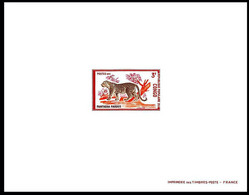 CONGO Félin. Panthère Panthera Pardus. Yvert N° 320 Epreuve De Luxe, Sheet Of Luxe (1971) - Roofkatten