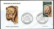 HAUTE VOLTA Lion, Lions, Felin , Félins,  Lowe, Yvert  PA 26. FDC Enveloppe 1 Er Jour - Felini