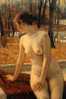 Y10-86  @  Nude Naked Oil Painting Photograph   ( Postal Stationery , Articles Postaux , Postsache F ) - Nudes