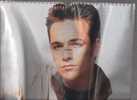 CALENDRIER - 1997 - Luke PERRY - 12 Posters - Other Products