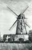 ZWEVEGEM (W.Vl.) - Molen/moulin/mill - Fraaie Opname Van De Stenen Molen In 1977. - Zwevegem