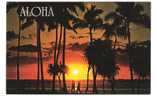 Hawaii - Aloha Sunset - Other & Unclassified