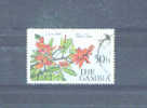 GAMBIA - 1977  Flowers  50b FU - Gambie (1965-...)