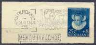 Netherlands 1956 Mi# 689  O - Gebraucht