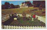 Postcard - Washington, Grave Of John F. Kennedy   (1219) - Washington DC