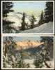 TWO COLOURED POSTAL CARDS - Landscapes Of Wallisellen - Zürich - Wallisellen
