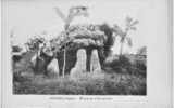 POITIERS Vienne - Dolmen De La Pierre Levée - Dolmen & Menhirs