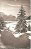 Skigelände Am Oelberg Bei Wildhaus Im Obertoggenburg 1962 - Wil