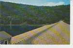 (EUA250) KEENE. MT. SURREY DAM - Altri & Non Classificati