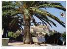 Delcampe - CALVI - Echappée Sur La Citadelle - Calvi
