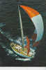 Voilier Classe Iior - Sailing