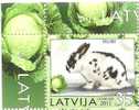2011  Latvia Lettland Lettonie Rabbit Stamp 2011 - MNH - Lapins