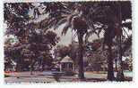 Postcard - Cayenne, Guyane     (1362) - Cayenne