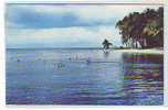 Postcard - Trinidad, Pigeon Point     (1368) - Trinidad