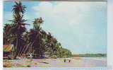 Postcard - Trinidad, Mayaro Beach     (1369) - Trinidad