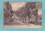 PHILIPPEVILLE  -  Les Palmiers De La Rue Ch. Blanchet  -   CARTE ANIMEE - - Skikda (Philippeville)