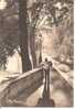 Delcampe - PARIS .. LE QUAI DE BOURBON VERS LE PONT MARIE - Monier