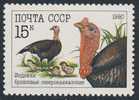 Soviet Unie CCCP Russia 1990 Mi 6104 YT 5766 ** Meleagris Gallopavo: Domestic Turkey / Dindon Sauvage / Haustruthuhn - Hoendervogels & Fazanten