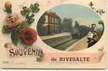 DEP 66 RIVERSALTES SOUVENIR DE .. AVEC TRAIN ET FLEURS - Rivesaltes